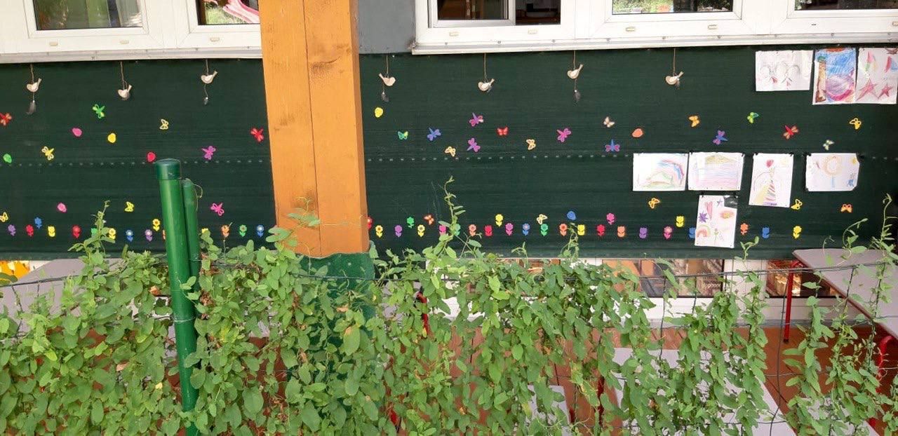 Terrassenwand mit Schmetterlings- und Blumendeko
